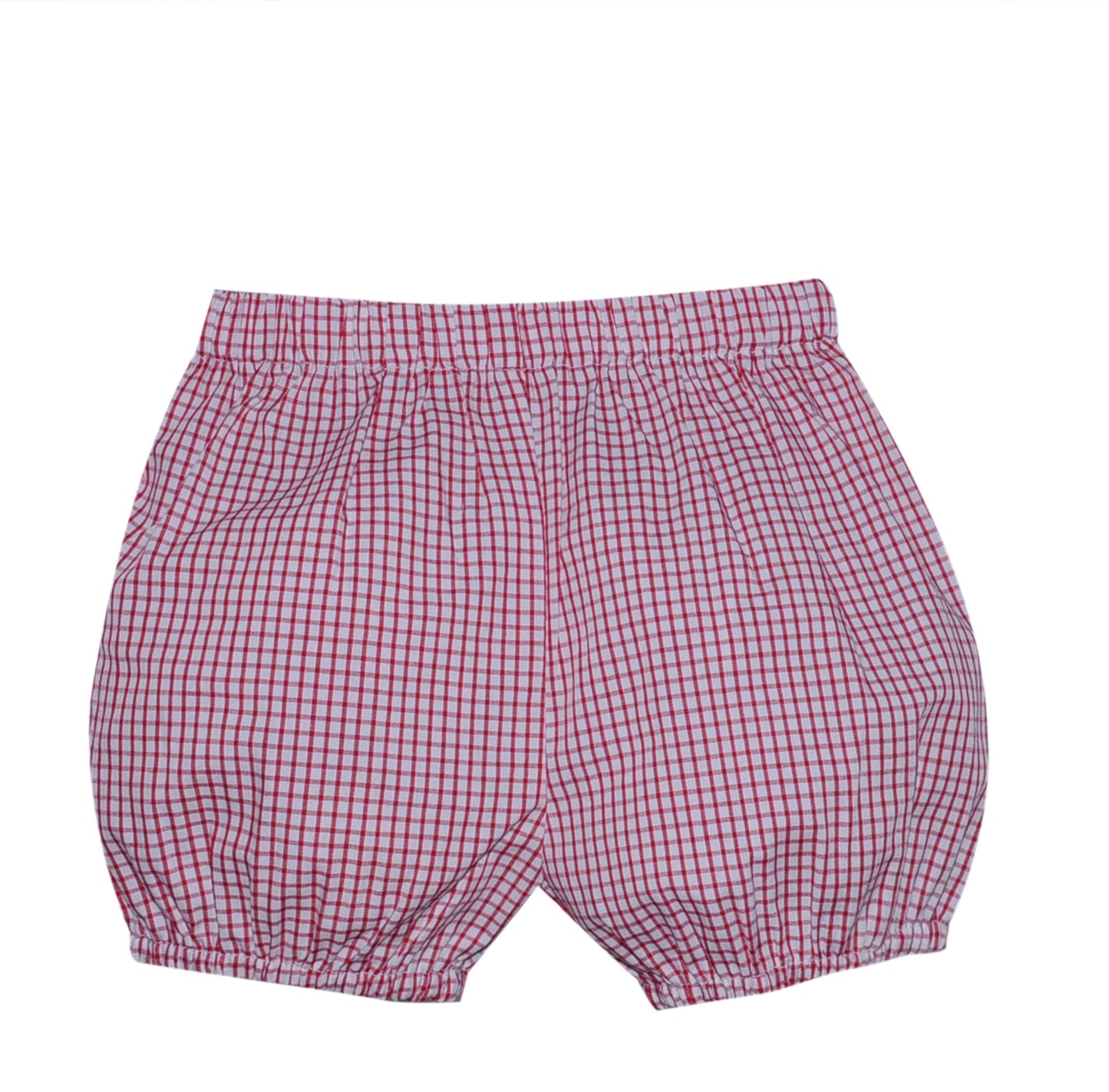 Alexander Bloomer- Red Gingham